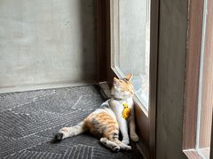 -Again Coffee Roaster(香蜜湖店)