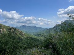 -大岭沟猕猴桃谷风景区