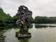 -西湖游船