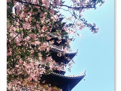 -常熟方塔园