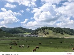 -关山草原