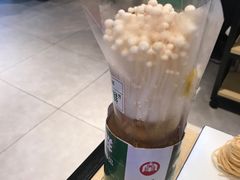 活体金针蘑-羊来顺冰煮鲜羊 铁锅烀羊肉(中央大街店)