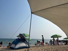 -玫瑰海岸文化旅游度假区