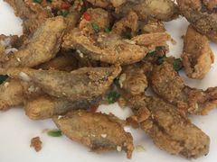 -老杨饭店(万科里店)