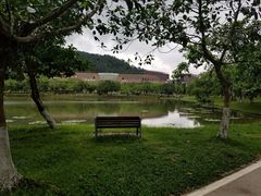 -北京师范大学(珠海校区)