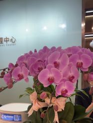 -杭州米兰柏羽医疗美容医院