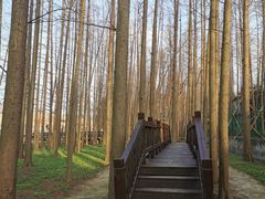 -南京金牛湖风景区