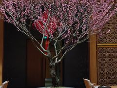 -养云安缦·廊