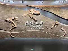 -柳州白莲洞洞穴科学博物馆