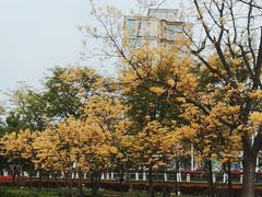 -马濠公园
