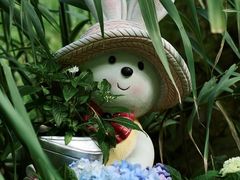 -云溪植物园