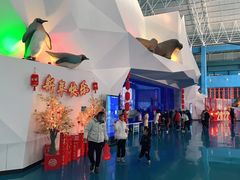 -泉城欧乐堡海洋极地世界