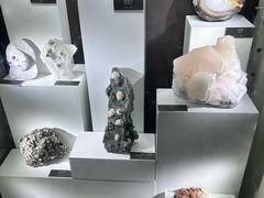 -重庆自然博物馆(新馆)