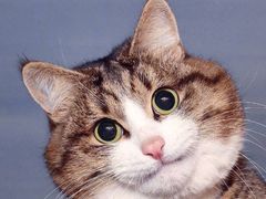 -家味螺蛳粉&烤鱼(五角场店)