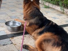 -了不起的考拉咖啡店(高新店)