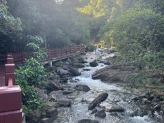 -广州白江湖森林公园