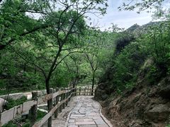 -大岭沟猕猴桃谷风景区