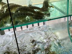 -凯华海鲜火锅·传承三十六年