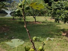 -中国移动南方基地