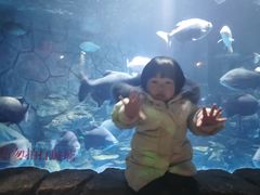 -多彩贵州城极地海洋世界