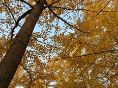 -森林公园(尖草坪区)