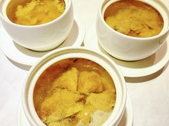 客家土猪肉汤-广东道至正餐厅(区庄店)