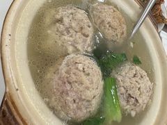 -丁老爷子苏香圆