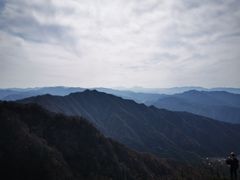 -王顺山国家森林公园