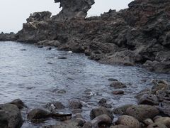 -龙头岩(Dragon Head Rock)