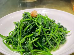 炒苕尖-董厨煨汤馆(车站路店)