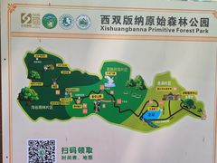 -西双版纳原始森林公园