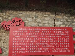 -兴教寺