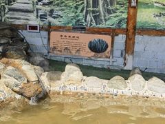 -华山御温泉度假村