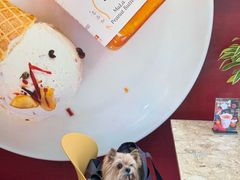 -Dal Cuore 达可芮冰淇淋(陕西北路店)