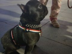 -万达广场(南京江宁店)