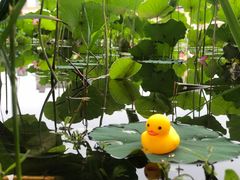 -WhaleSports户外水上运动俱乐部(朝阳公园店)