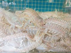 -范饭椰林川湘味海鲜·椰子鸡(三亚湾椰梦长廊店)
