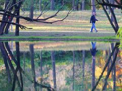 -上海共青森林公园