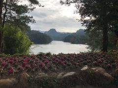 -冠豸山景区