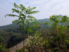 -终南山国家森林公园