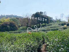 -树山生态村