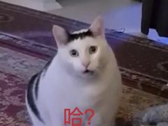 -快乐街区(重庆龙湖时代天街店)