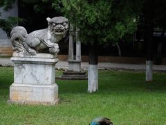 -昆明动物园