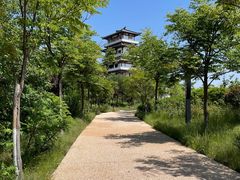 -卤阳湖国家湿地公园