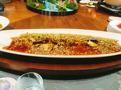 -新廊桥(原科华廊桥店)