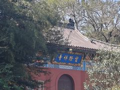 -冶父山国家森林公园