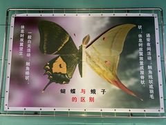 -上海昆虫博物馆