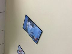 -引领英语·成人口语·雅思托福