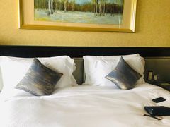 -上海浦东星河湾酒店