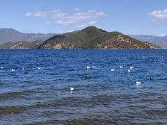 -丽江泸沽湖景区